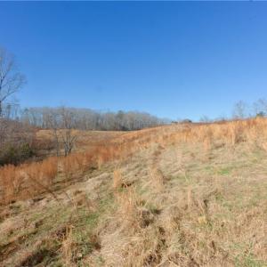 Photo #3 of 3 Roby Fulk, Pinnacle, NC 10.1 acres