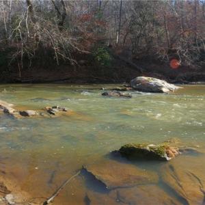 Photo #1 of 3 Roby Fulk, Pinnacle, NC 10.1 acres