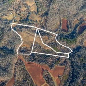 Photo #11 of 3 Roby Fulk, Pinnacle, NC 10.1 acres
