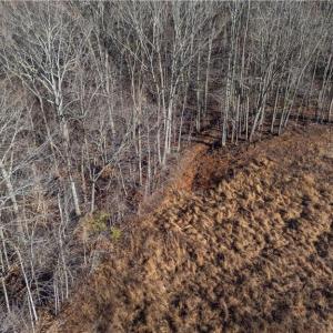 Photo #13 of 21 NC Highway 704, Madison, NC 15.0 acres