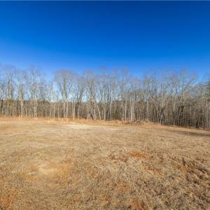 Photo #3 of 21 NC Highway 704, Madison, NC 15.0 acres