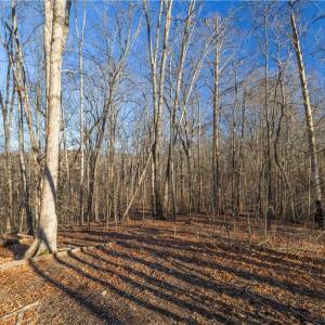 Photo #14 of 21 NC Highway 704, Madison, NC 15.0 acres