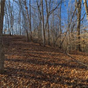 Photo #18 of 21 NC Highway 704, Madison, NC 15.0 acres