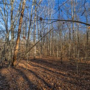 Photo #17 of 21 NC Highway 704, Madison, NC 15.0 acres