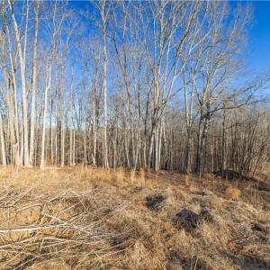 Photo #4 of 21 NC Highway 704, Madison, NC 15.0 acres