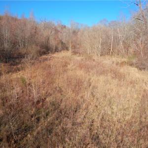 Photo #17 of 3-4 Roby Fulk, Pinnacle, NC 20.5 acres