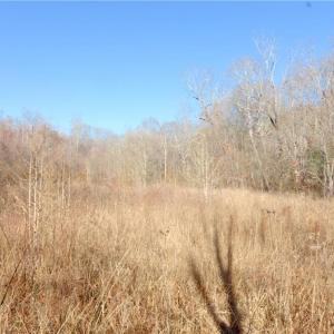 Photo #16 of 3-4 Roby Fulk, Pinnacle, NC 20.5 acres