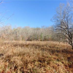 Photo #15 of 3-4 Roby Fulk, Pinnacle, NC 20.5 acres