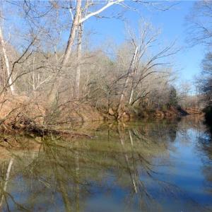 Photo #11 of 3-4 Roby Fulk, Pinnacle, NC 20.5 acres