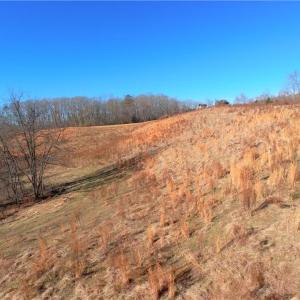 Photo #8 of 3-4 Roby Fulk, Pinnacle, NC 20.5 acres
