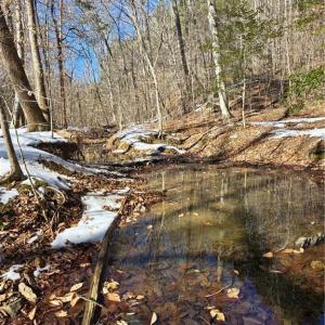 Photo #6 of Beechwood, Asheboro, NC 22.9 acres