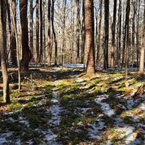 Photo #7 of Beechwood, Asheboro, NC 22.9 acres