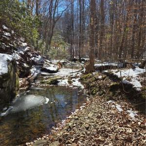 Photo #5 of Beechwood, Asheboro, NC 22.9 acres