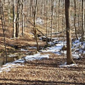 Photo #8 of Beechwood, Asheboro, NC 22.9 acres