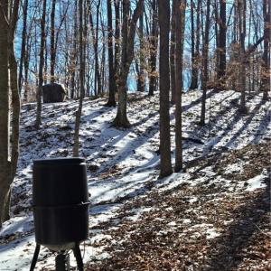 Feeder and Blind