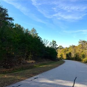 Photo #7 of 108 Sunset Ridge, Rockingham, NC 4.7 acres