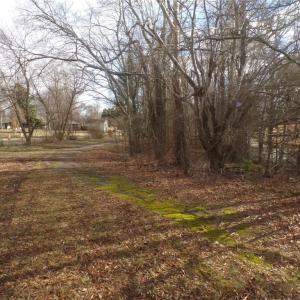 Looking back toward the entrance at Alamance Church Rd.