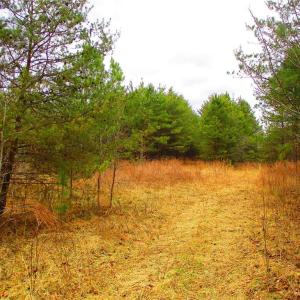 Walking path to the back of the property.