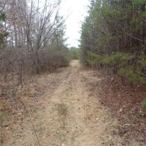 Photo #13 of 1809 Alamance Church, Greensboro, NC 16.4 acres