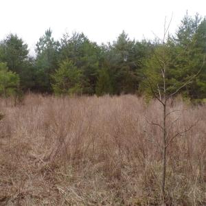 Photo #12 of 1809 Alamance Church, Greensboro, NC 16.4 acres