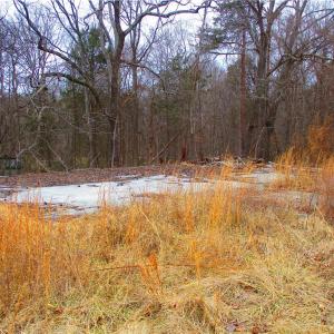 Previous airplane hanger pad.