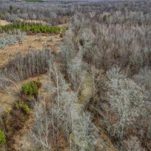 Photo #27 of Lick Fork Creek, Reidsville, NC 96.3 acres