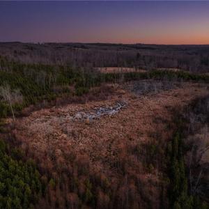 Photo #3 of Lick Fork Creek, Reidsville, NC 96.3 acres