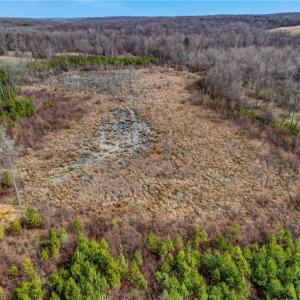 Photo #21 of Lick Fork Creek, Reidsville, NC 96.3 acres