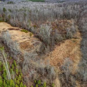 Photo #23 of Lick Fork Creek, Reidsville, NC 96.3 acres