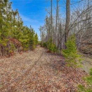 Photo #17 of Lick Fork Creek, Reidsville, NC 96.3 acres