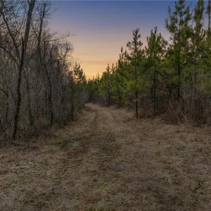 Photo #5 of Lick Fork Creek, Reidsville, NC 96.3 acres