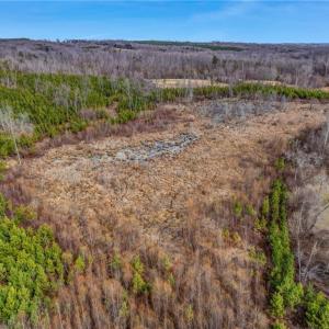 Photo #20 of Lick Fork Creek, Reidsville, NC 96.3 acres