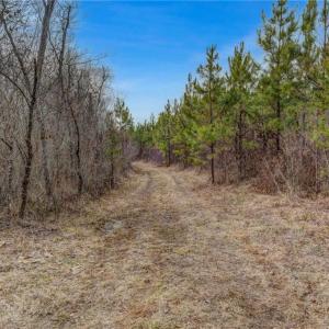 Photo #18 of Lick Fork Creek, Reidsville, NC 96.3 acres