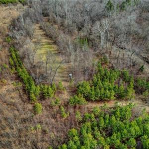 Photo #11 of Lick Fork Creek, Reidsville, NC 96.3 acres