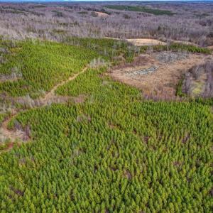 Photo #29 of Lick Fork Creek, Reidsville, NC 96.3 acres