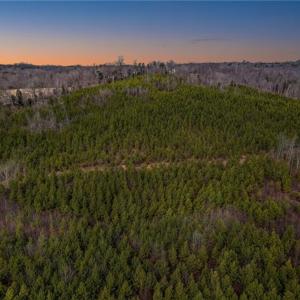 Photo #4 of Lick Fork Creek, Reidsville, NC 96.3 acres