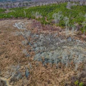 Photo #22 of Lick Fork Creek, Reidsville, NC 96.3 acres