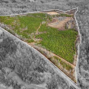 Photo #1 of Lick Fork Creek, Reidsville, NC 96.3 acres