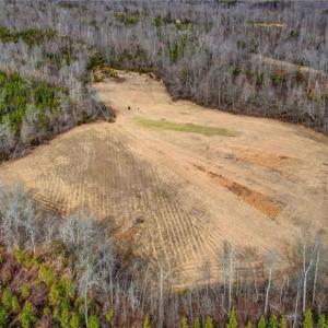 Photo #24 of Lick Fork Creek, Reidsville, NC 96.3 acres