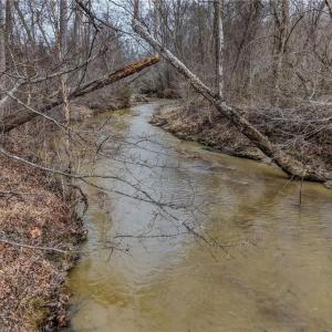 Photo #14 of Lick Fork Creek, Reidsville, NC 96.3 acres
