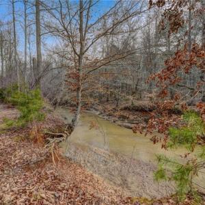 Photo #15 of Lick Fork Creek, Reidsville, NC 96.3 acres