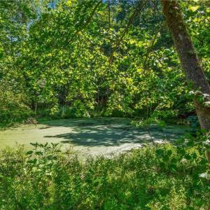 Photo #6 of Mills, Mount Airy, NC 13.0 acres