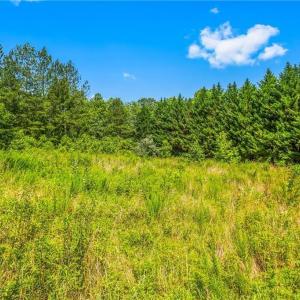 Photo #9 of Mills, Mount Airy, NC 13.0 acres