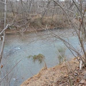 Photo #3 of 8.6 Acres Davie, Madison, NC 8.6 acres
