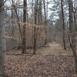 Photo #10 of 8.6 Acres Davie, Madison, NC 8.6 acres