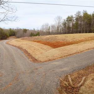 Photo #22 of Dearmin, Westfield, NC 4.6 acres