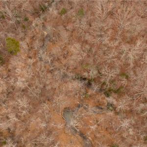 Photo #25 of Dearmin, Westfield, NC 4.6 acres