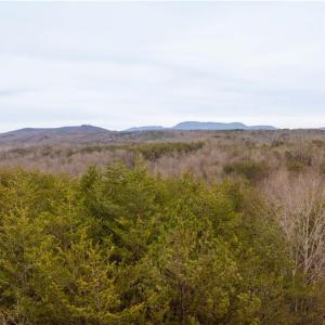 Photo #15 of Dearmin, Westfield, NC 4.6 acres