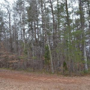 Photo #6 of 17.2 Acres Davie, Madison, NC 17.2 acres