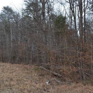 Photo #7 of 17.2 Acres Davie, Madison, NC 17.2 acres